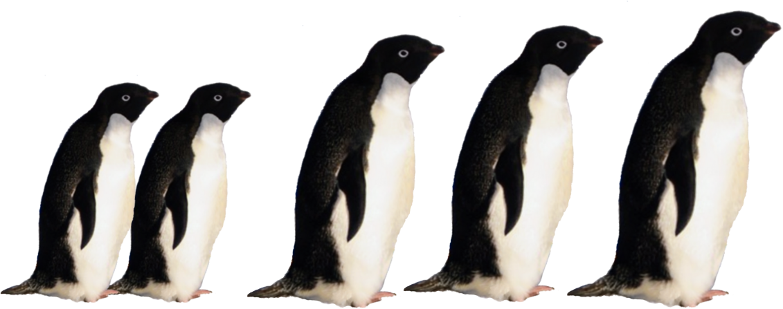 Brain-Shot penguin